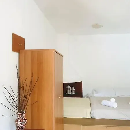 Sofia's